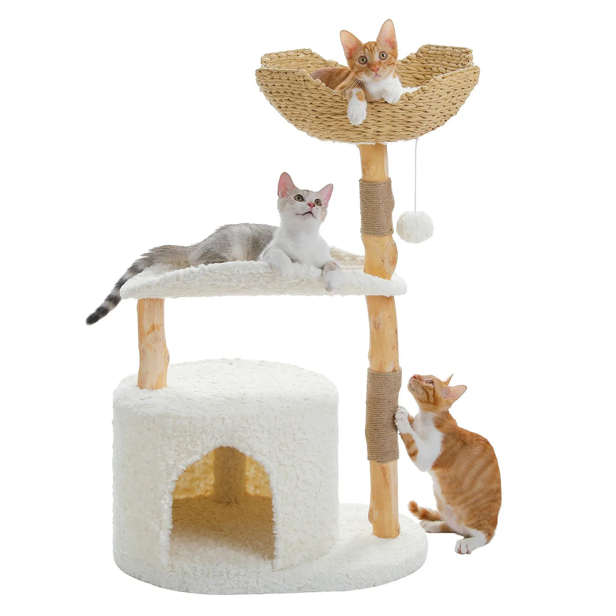 White real-branch cat tree 97cm on a wide base, kittens in the woven basket and condo, one scratching a sisal branch