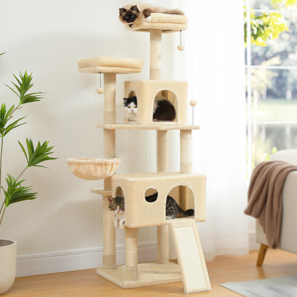 Cream beige 164cm cat tree in a living room, seal point cat on the top perch and cats resting inside both condos
