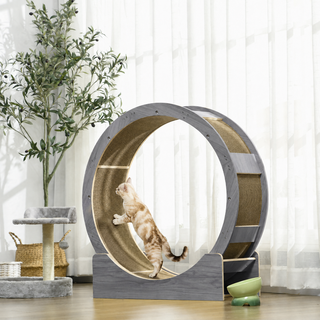 Gray and wood cat exercise wheel with a tabby cat running inside, bright living room lifestyle scene