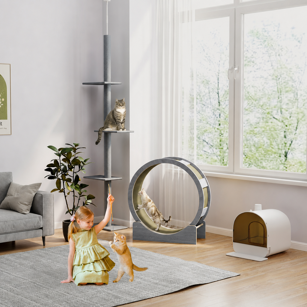 Gray and wood cat exercise wheel in a living room with a child and cats, home lifestyle scene