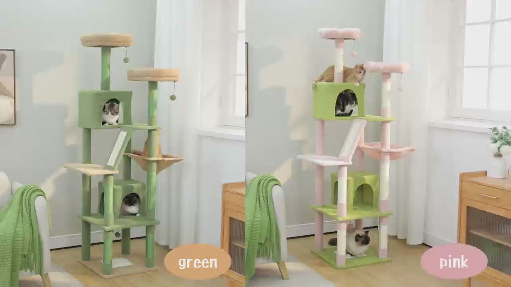 Video of green and pink wide 180cm cat trees side by side, cats in condos, with colourway labels