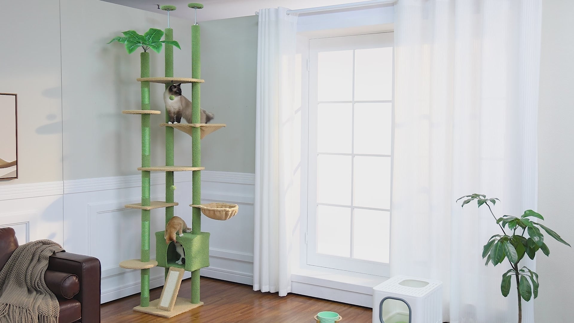 Green bamboo floor-to-ceiling cat tree with Siamese cat on upper platform and ginger tabby peeking from base condo