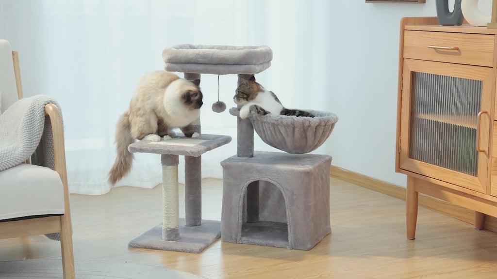 Video of the 73cm grey starter cat tree in a bright living room, cream point cat on a platform with kitten