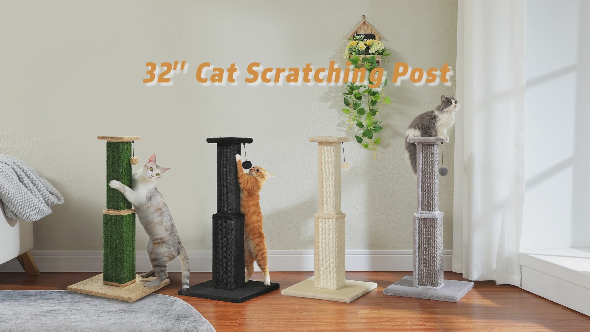 Video still of the 32-inch scratching post in four colors - green, black, cream and grey - cats playing at each post
