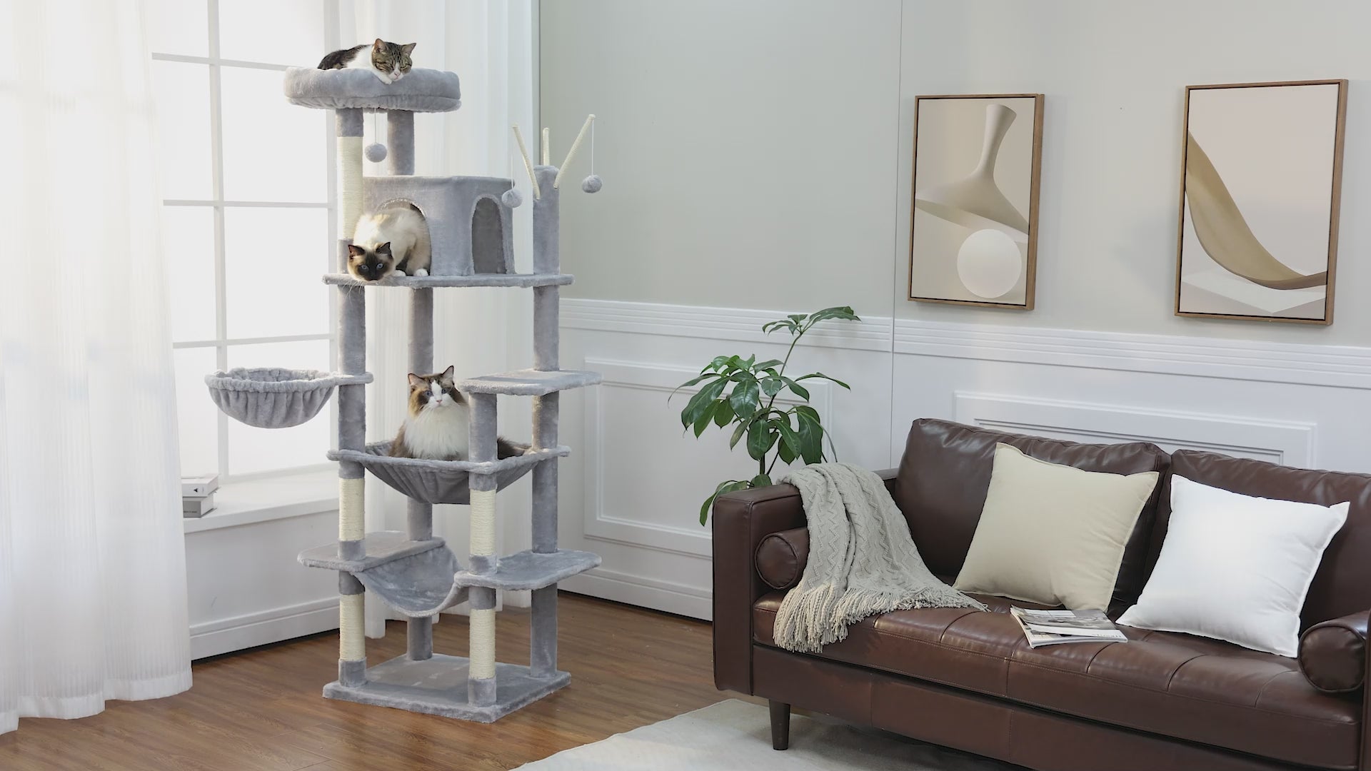 Light grey Mid-Rise cat tree with three cats on the top perch, at the condo and in a hammock within a bright living room