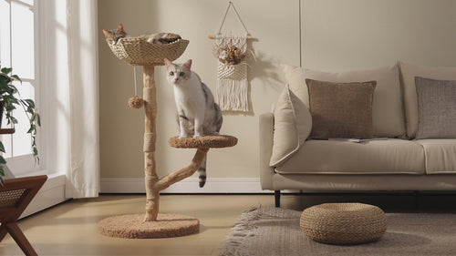 Natural wood cat tree with woven wicker basket and plush platform; two cats lounge in a bright boho living room