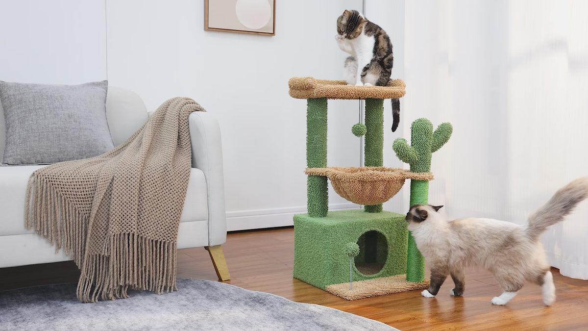 Green cactus Cozy cat tree in a bright living room while a tabby cat grooms on top and a fluffy pointed cat walks past
