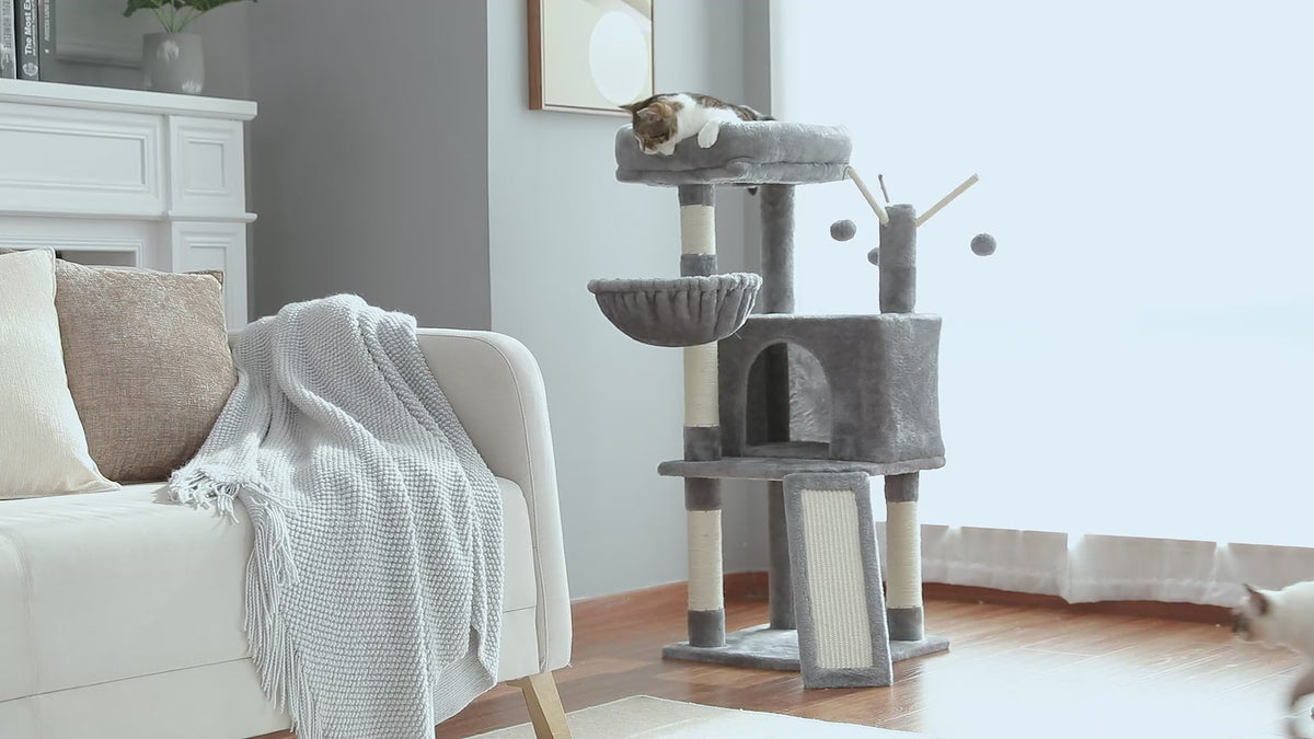 Video of the 105cm grey cat tree with cube condo, bowl hammock and round perch, tabby napping on top