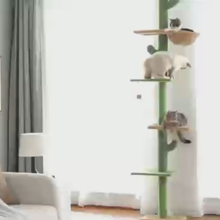 Green cactus floor-to-ceiling cat tree in a bright living room, grey and white cat resting in the woven top basket perch