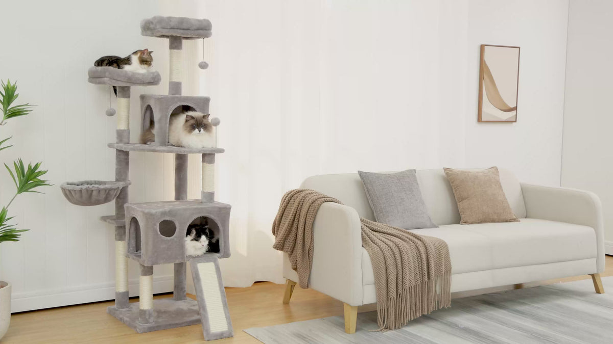 Video of the 164cm grey cat tree in a modern living room, three cats resting across condos, hammock and perches