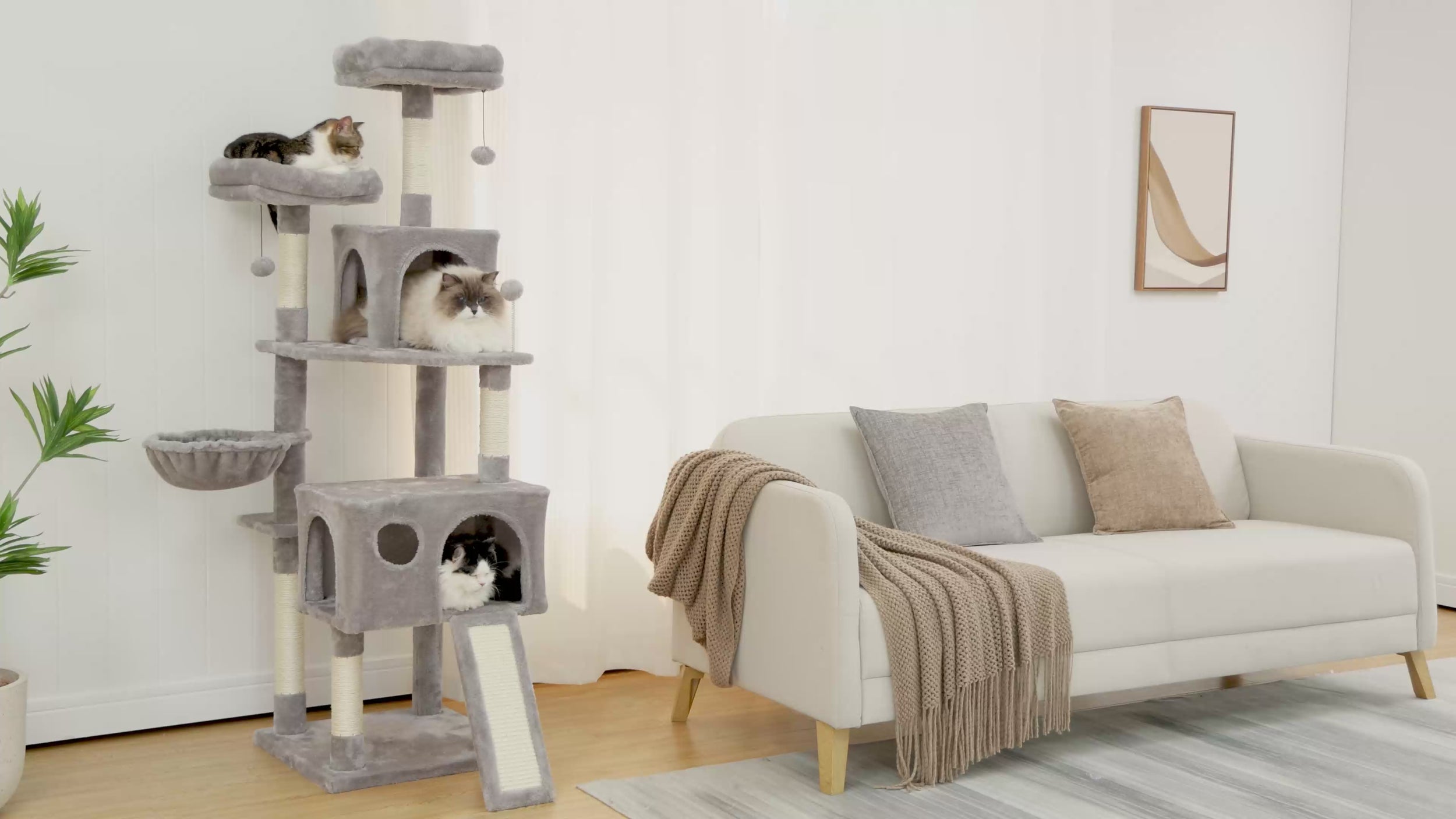 Video of the 164cm grey cat tree in a modern living room, three cats resting across condos, hammock and perches