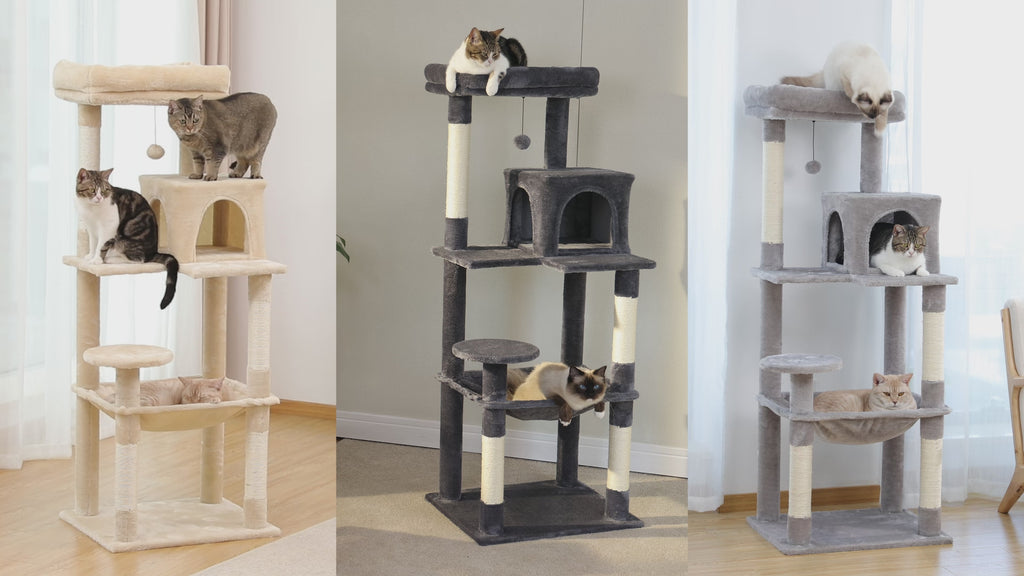 Video of beige 143cm cat tree: tabby on top perch, bicolor cat by condo, ginger cat asleep in hammock