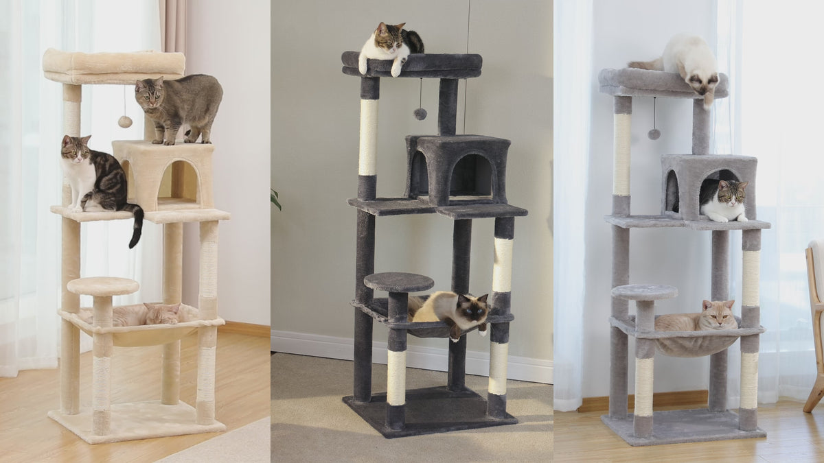 Video of beige 143cm cat tree: tabby on top perch, bicolor cat by condo, ginger cat asleep in hammock