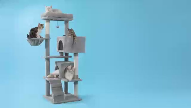 Video of the light grey 143cm sturdy cat tower on a pale blue studio background, four cats on perches and condos