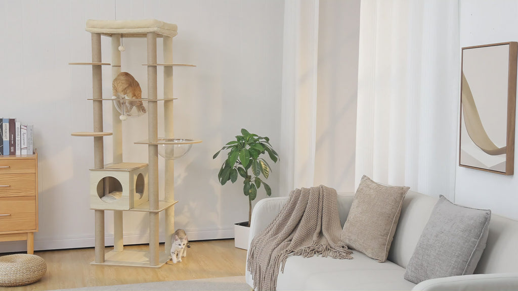 Video of wood 180cm four-column cat tree with clear acrylic bowls and top bed, orange cat in bowl