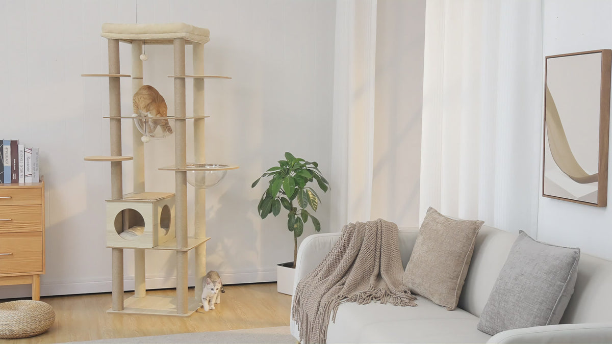 Video of wood 180cm four-column cat tree with clear acrylic bowls and top bed, orange cat in bowl