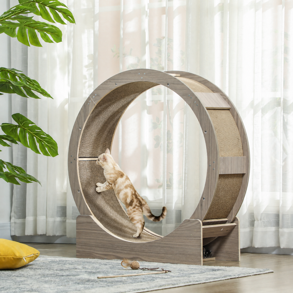 Cat running inside a walnut and wood cat exercise wheel in a bright living room, lifestyle photo